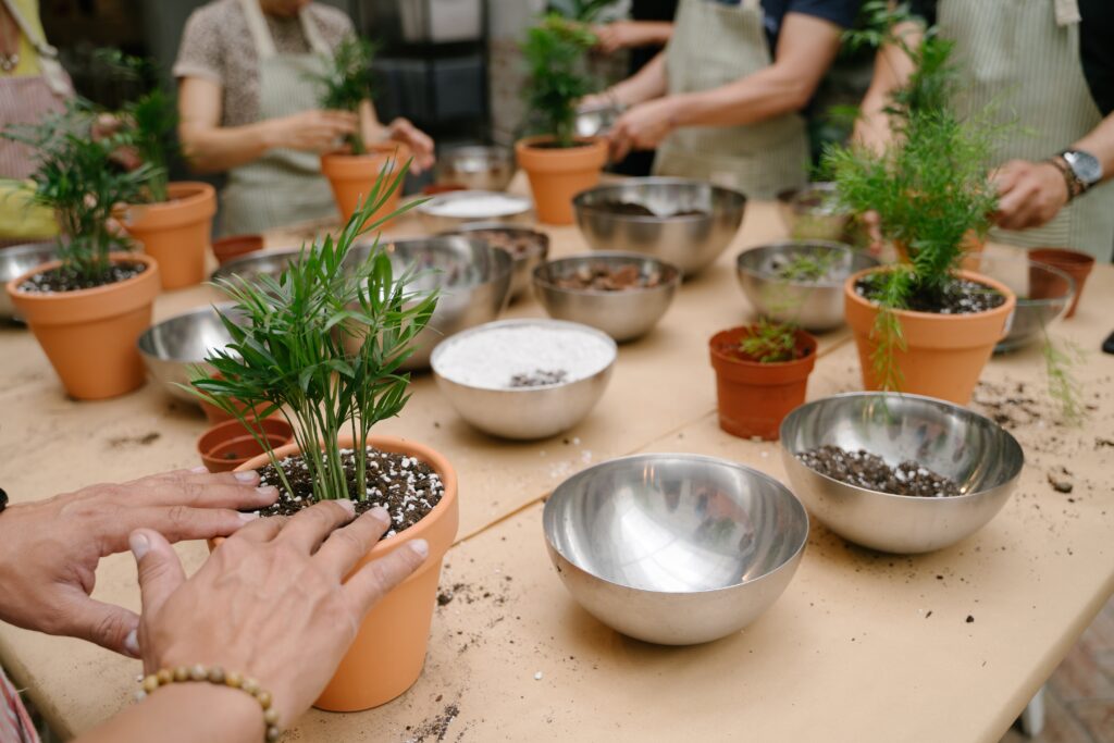 Oasis Skill Stream – Practical & Creative Learning Workshops